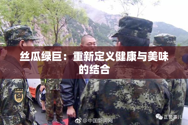 丝瓜绿巨：重新定义健康与美味的结合