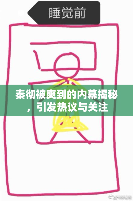 秦彻被爽到的内幕揭秘，引发热议与关注