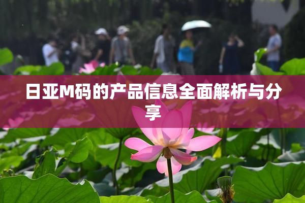 日亚M码的产品信息全面解析与分享