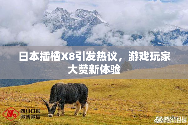 日本插槽X8引发热议，游戏玩家大赞新体验