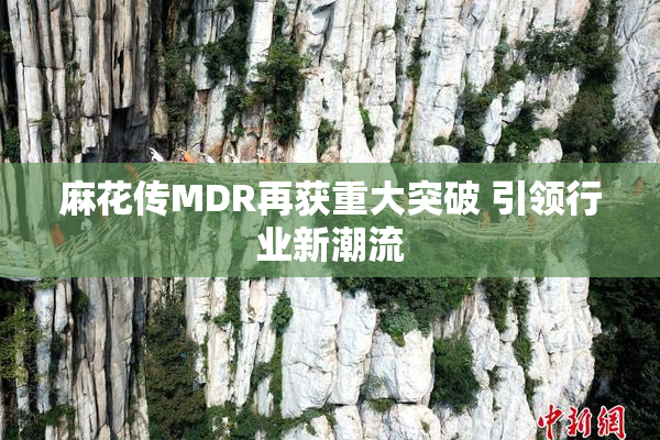 麻花传MDR再获重大突破 引领行业新潮流