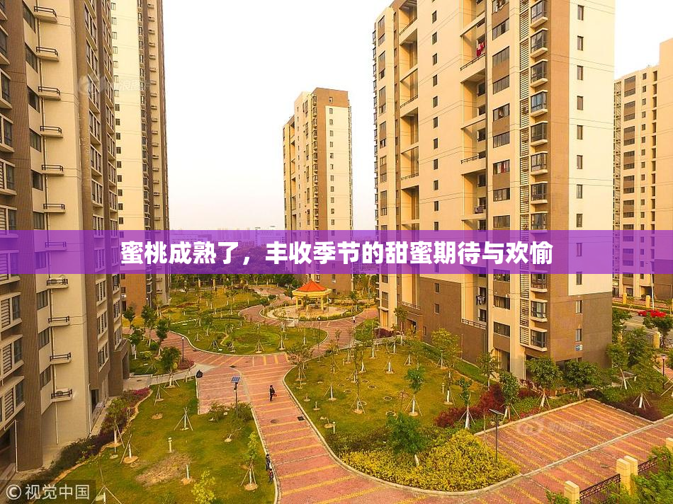蜜桃成熟了，丰收季节的甜蜜期待与欢愉