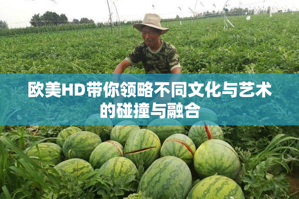 欧美HD带你领略不同文化与艺术的碰撞与融合