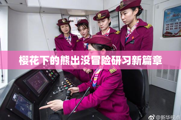 樱花下的熊出没冒险研习新篇章