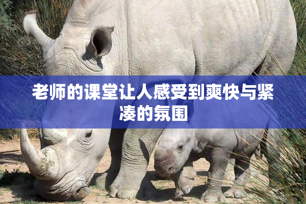 老师的课堂让人感受到爽快与紧凑的氛围