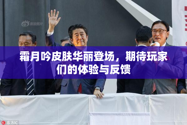 霜月吟皮肤华丽登场，期待玩家们的体验与反馈