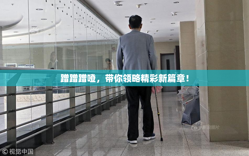 蹭蹭蹭噔，带你领略精彩新篇章！