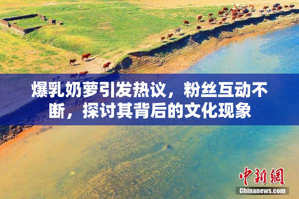 爆乳奶萝引发热议，粉丝互动不断，探讨其背后的文化现象