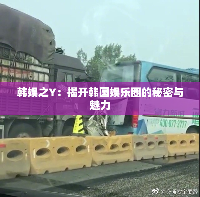 韩娱之Y：揭开韩国娱乐圈的秘密与魅力