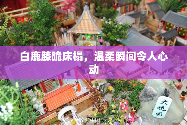 白鹿膝跪床榻，温柔瞬间令人心动
