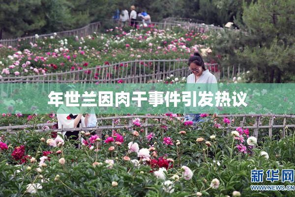 年世兰因肉干事件引发热议