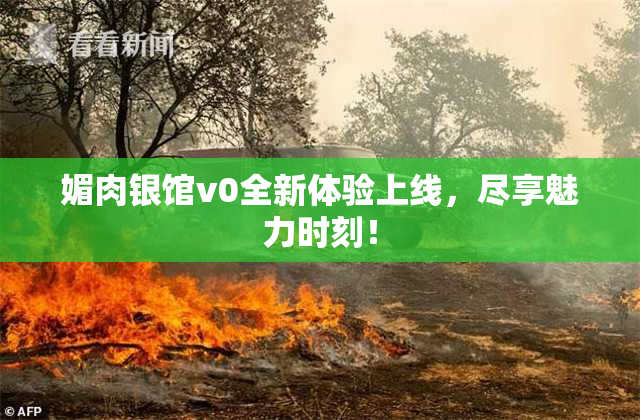 媚肉银馆v0全新体验上线，尽享魅力时刻！