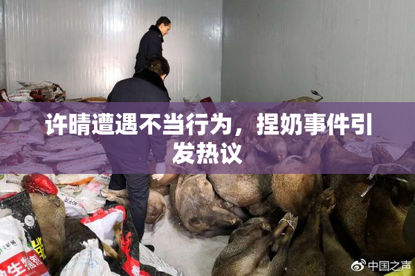 许晴遭遇不当行为，捏奶事件引发热议