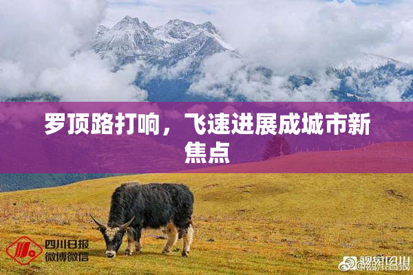 罗顶路打响，飞速进展成城市新焦点