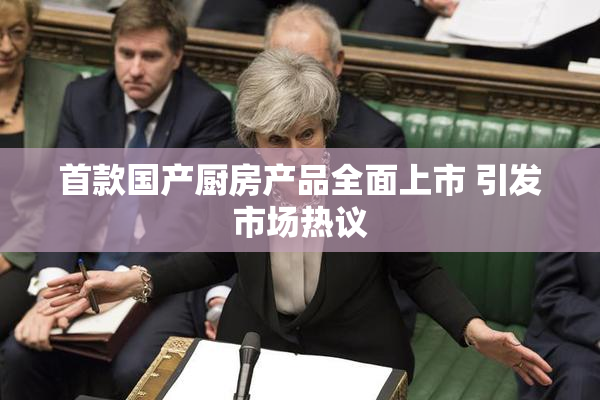 首款国产厨房产品全面上市 引发市场热议