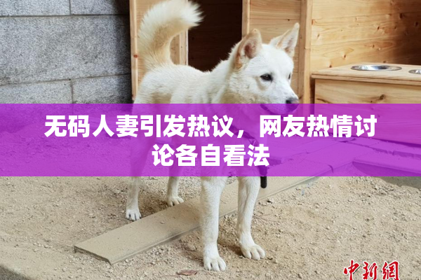 无码人妻引发热议，网友热情讨论各自看法
