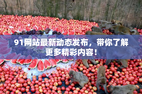 91网站最新动态发布，带你了解更多精彩内容！