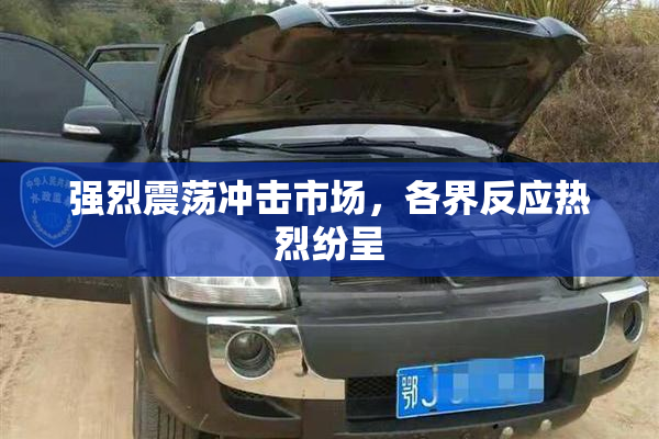 强烈震荡冲击市场，各界反应热烈纷呈