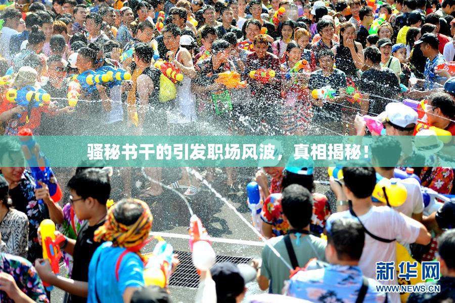 骚秘书干的引发职场风波，真相揭秘！