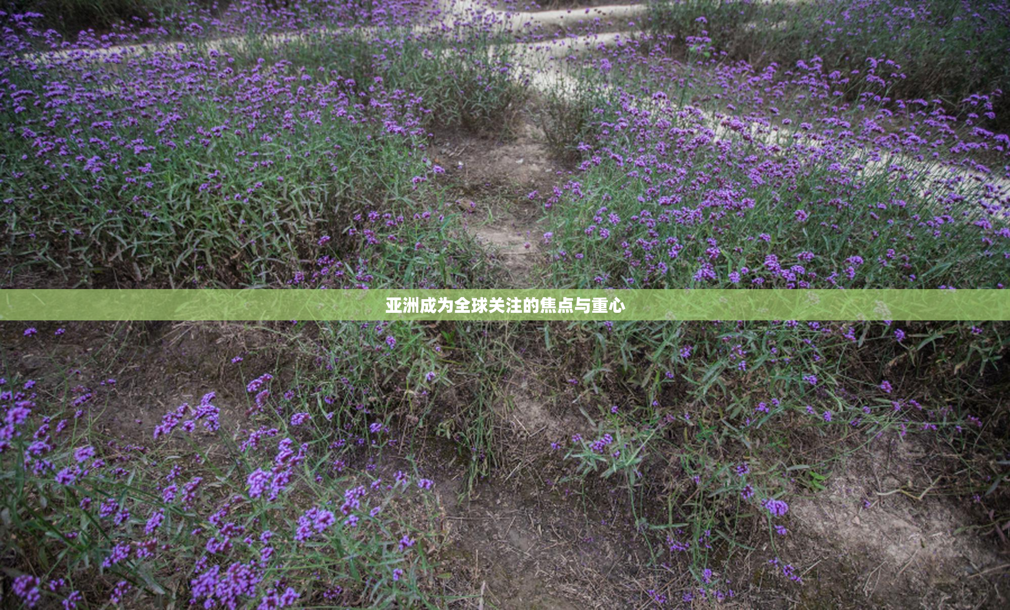 亚洲成为全球关注的焦点与重心