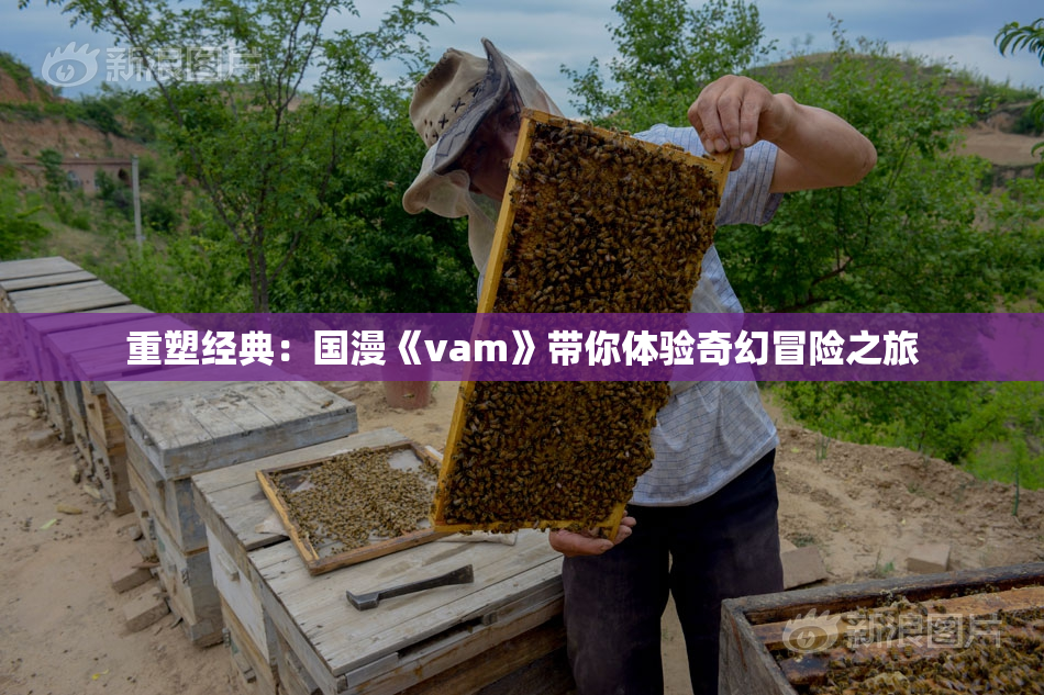 重塑经典：国漫《vam》带你体验奇幻冒险之旅