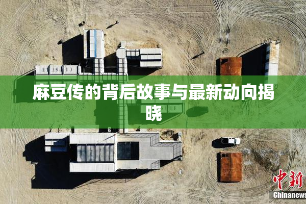 麻豆传的背后故事与最新动向揭晓