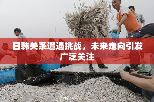 日韩关系遭遇挑战，未来走向引发广泛关注
