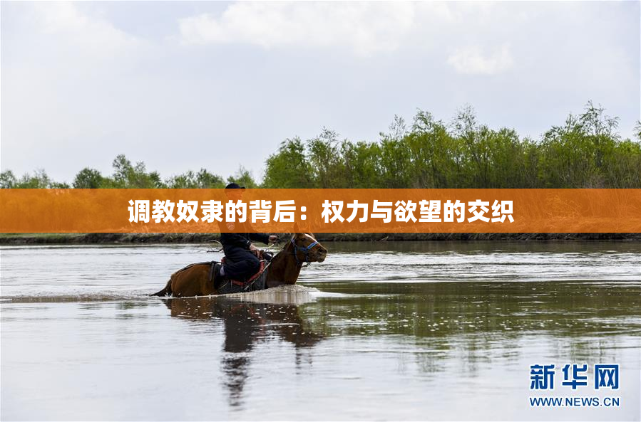 调教奴隶的背后：权力与欲望的交织