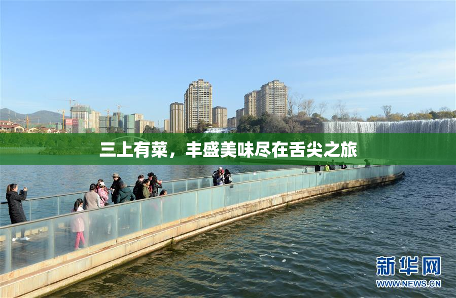 三上有菜，丰盛美味尽在舌尖之旅