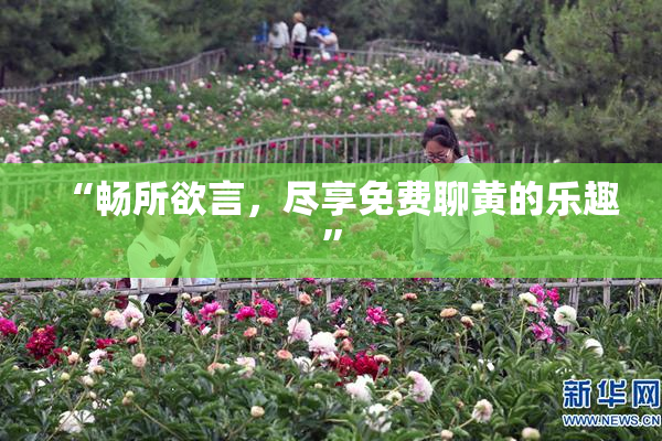 “畅所欲言，尽享免费聊黄的乐趣”