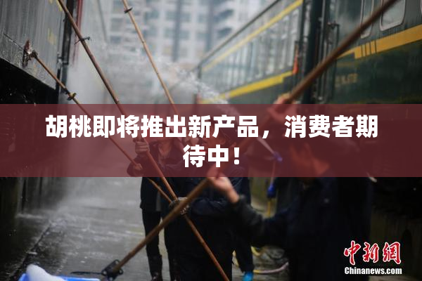 胡桃即将推出新产品，消费者期待中！