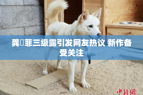 龚玥菲三级露引发网友热议 新作备受关注