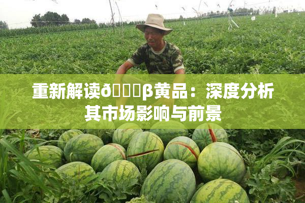 重新解读🔞β黄品：深度分析其市场影响与前景