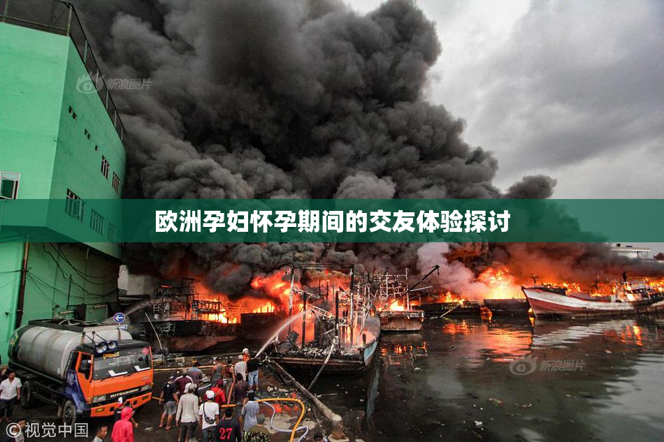 欧洲孕妇怀孕期间的交友体验探讨