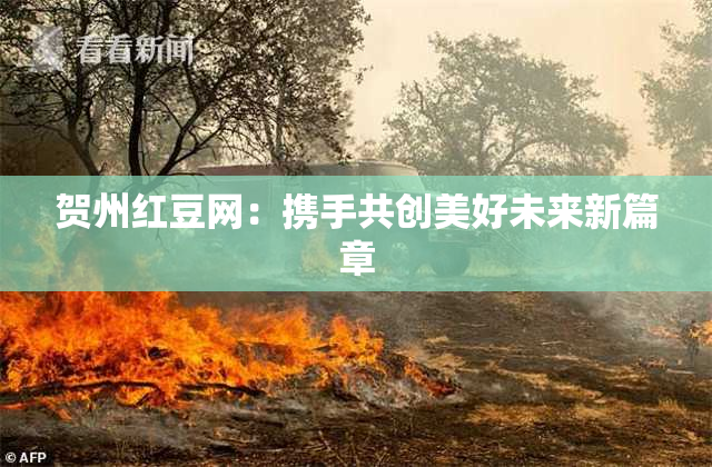 贺州红豆网：携手共创美好未来新篇章
