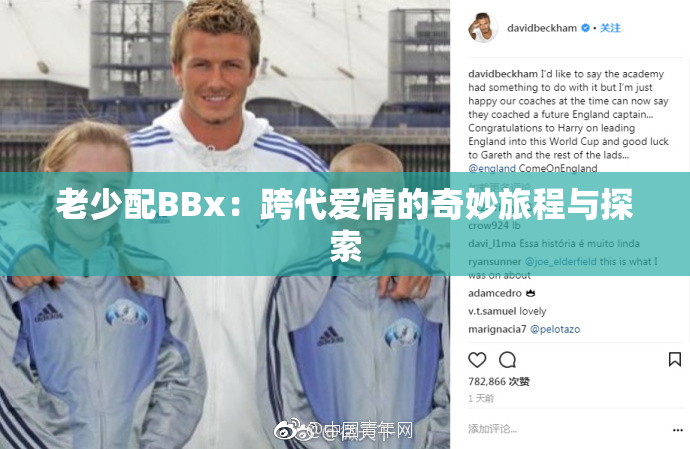 老少配BBx：跨代爱情的奇妙旅程与探索