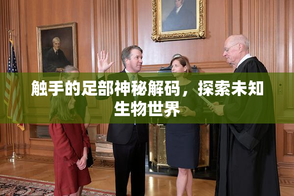 触手的足部神秘解码，探索未知生物世界