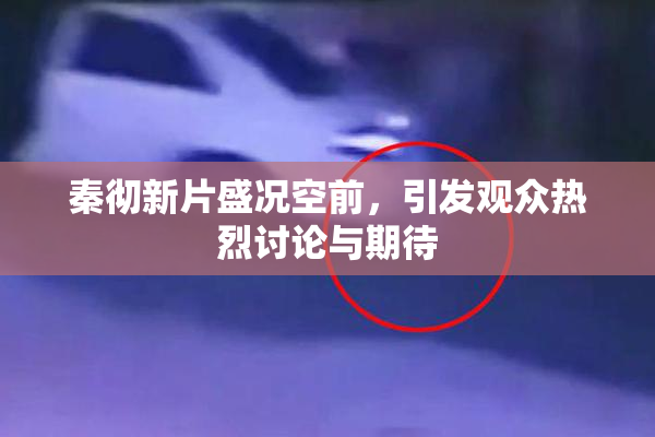 秦彻新片盛况空前，引发观众热烈讨论与期待