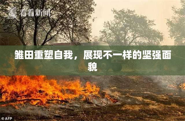 雏田重塑自我，展现不一样的坚强面貌