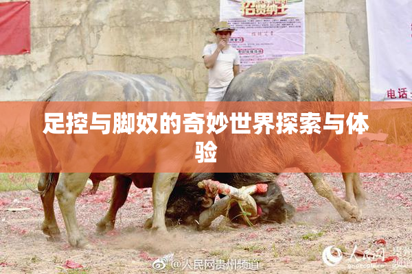 足控与脚奴的奇妙世界探索与体验