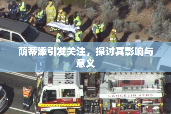 荫蒂添引发关注，探讨其影响与意义