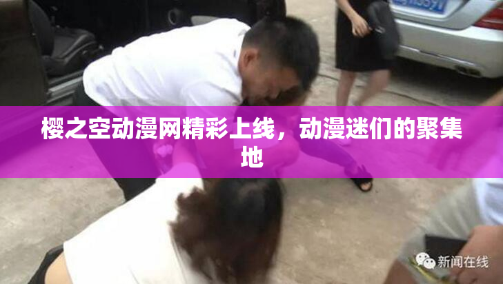 樱之空动漫网精彩上线，动漫迷们的聚集地