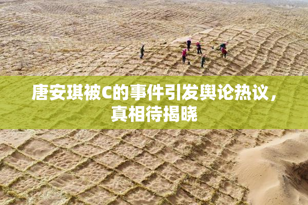 唐安琪被C的事件引发舆论热议，真相待揭晓