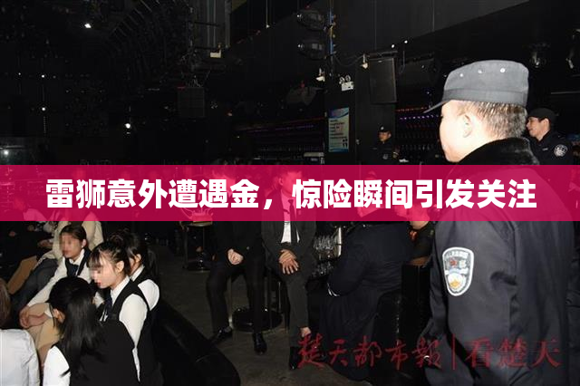 雷狮意外遭遇金，惊险瞬间引发关注
