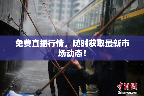 免费直播行情，随时获取最新市场动态！