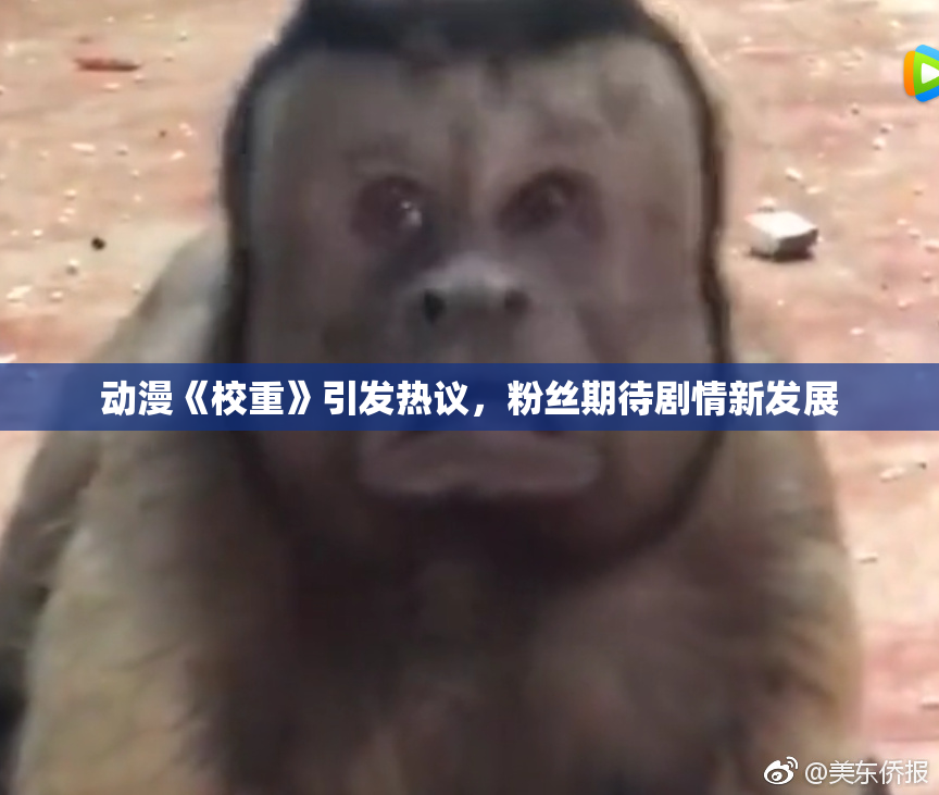 动漫《校重》引发热议，粉丝期待剧情新发展