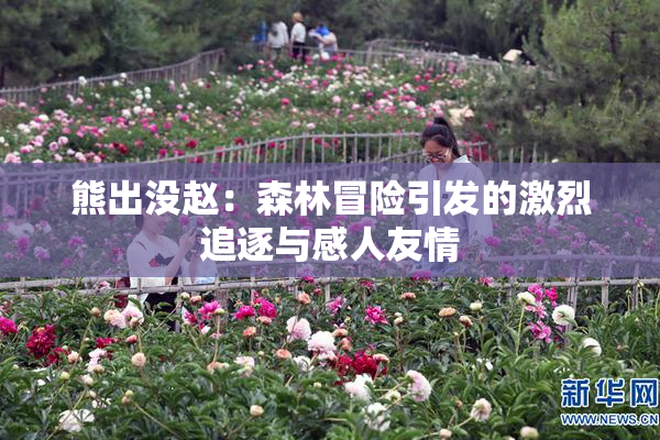 熊出没赵：森林冒险引发的激烈追逐与感人友情