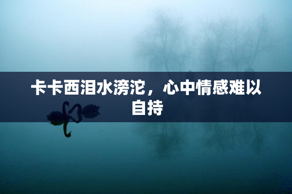 卡卡西泪水滂沱，心中情感难以自持