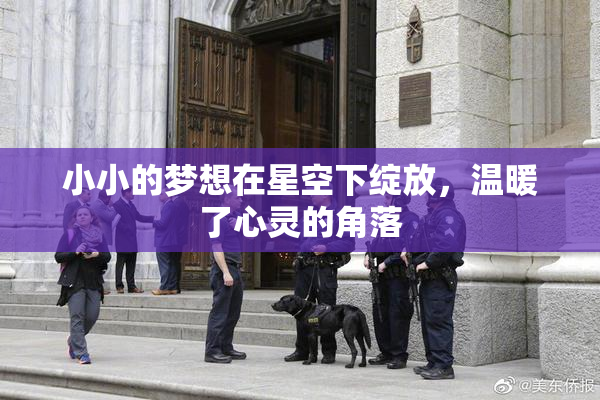 小小的梦想在星空下绽放，温暖了心灵的角落