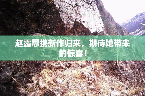 赵露思携新作归来，期待她带来的惊喜！
